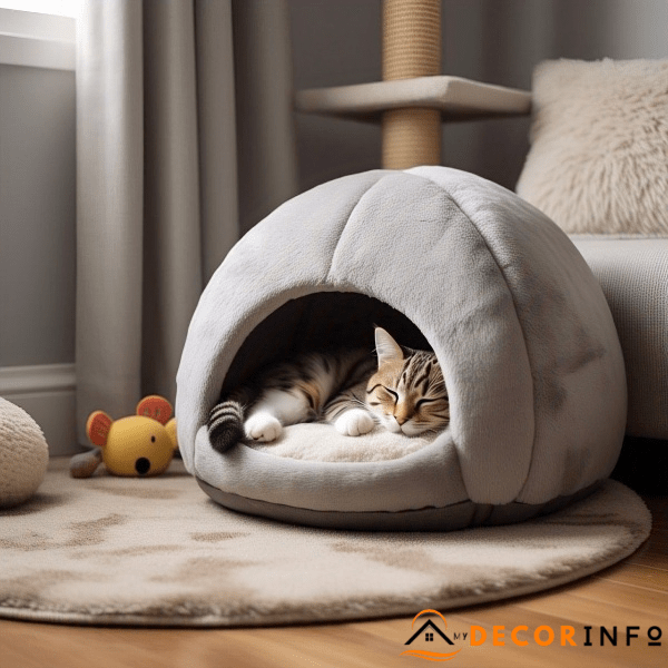 Sleeping Spots for Your Cat